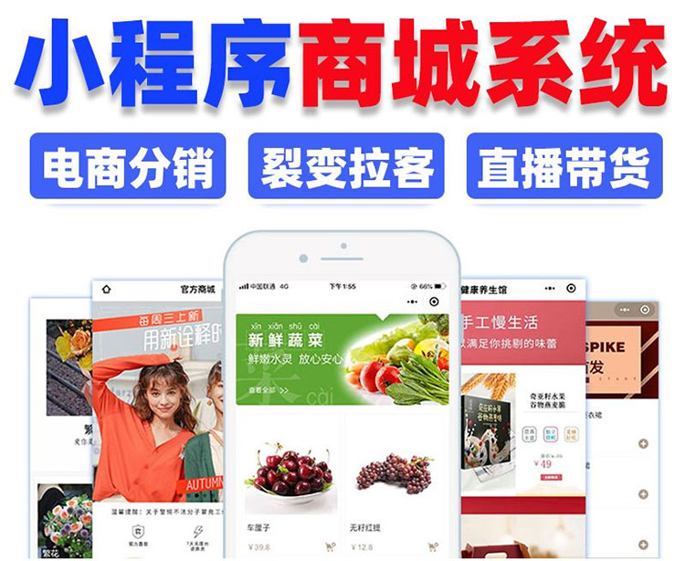靈動小程序商城